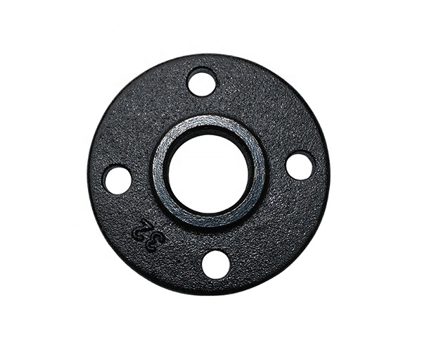 Flange Plate Iron Cast Pump Spare Parts 